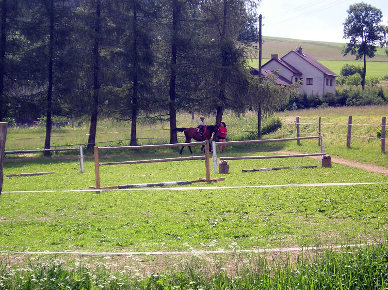 P6150061