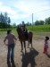 konici_2012_017